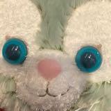 （分類：）位於 。 由 lkwkyi 提交（商品編號 1384956878，圖片 1）。簡介： 。