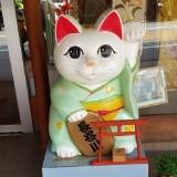 (Category: ) located in . Submitted by para66 (Listing ID 1376106647, Image 1). Description: .