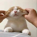 由 _xuannnnnn (刊登 ID 1256808850，圖片 1) 提交，位於 的 (類別：)，說明：。