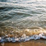 (Category: ) located in . Submitted by dhurraa (Listing ID 1381578269, Image 1). Description: .