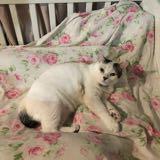 (Category: ) located in . Submitted by michellesnows (Listing ID 1337659746, Image 1). Description: .