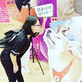由 mintaitai (刊登 ID 1380547587，圖片 1) 提交，位於 的 (類別：)，說明：。