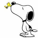 （分類：）位於 。 由 snoopy_house 提交（商品編號 1351270863，圖片 1）。簡介： 。