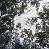 由 t_s_a_i (刊登 ID 1281407776，圖片 1) 提交，位於 的 (類別：)，說明：。
