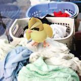 (Category: ) located in . Submitted by nat.xyz (Listing ID 1436281112, Image 1). Description: .