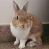 (Category: ) located in . Submitted by buddythedwarf (Listing ID 1374583891, Image 1). Description: .