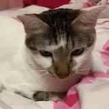 (Category: ) located in . Submitted by oceanbreeze88.443 (Listing ID 1419738439, Image 1). Description: .