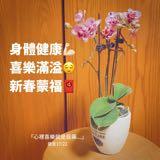 （分類：）位於 。 由 vivilam15 提交（商品編號 1104109082，圖片 1）。簡介： 。