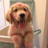 (Category: ) located in . Submitted by yoing88 (Listing ID 1378880715, Image 1). Description: .