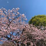 （分類：）位於 。 由 kwkee 提交（商品編號 1381380301，圖片 1）。簡介： 。