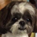 (Category: ) located in . Submitted by beautifulaseverswan (Listing ID 1322301066, Image 1). Description: .