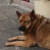 （分類：）位於 。 由 facebooking 提交（商品編號 1376406919，圖片 1）。簡介： 。