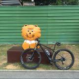 (Category: ) located in . Submitted by 265bhp (Listing ID 1386158323, Image 1). Description: .