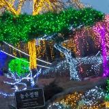 （分類：）位於 。 由 dayday_shoppingplace 提交（商品編號 1233440334，圖片 1）。簡介： 。