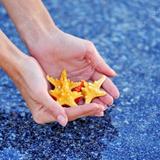 （分類：）位於 。 由 starsinyourhands 提交（商品編號 282339145，圖片 1）。簡介： 。