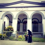 (Kategori: ) berada di . Dikirim oleh allvysatriani (ID iklan 1380856835, Gambar 1). Deskripsi: .