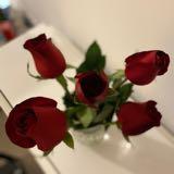(Category: ) located in . Submitted by coletta (Listing ID 1372589358, Image 1). Description: .