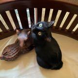 (Category: ) located in . Submitted by stairskitty (Listing ID 1347584532, Image 1). Description: .