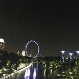 （分類：）位於 。 由 alicewwwonggg 提交（商品編號 1382070196，圖片 1）。簡介： 。