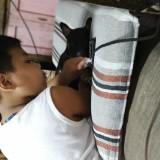 (Category: ) located in . Submitted by friday0304 (Listing ID 1360386340, Image 1). Description: .