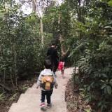 （分類：）位於 。 由 lorraineflace 提交（商品編號 1243565263，圖片 1）。簡介： 。
