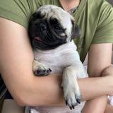 (Category: ) located in . Submitted by pano17 (Listing ID 1363961506, Image 1). Description: .