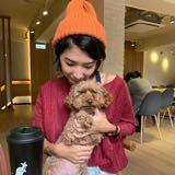 由 mao.mao.54 (刊登 ID 1128235730，圖片 1) 提交，位於 的 (類別：)，說明：。