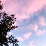 （分類：）位於 。 由 sellingtextbooks_ 提交（商品編號 1319258826，圖片 1）。簡介： 。