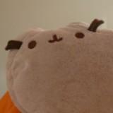 由 yuli_2201 (刊登 ID 1380415102，圖片 1) 提交，位於 的 (類別：)，說明：。