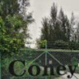 (Category: ) located in . Submitted by hermitann (Listing ID 1330204156, Image 1). Description: .