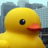 （分類：）位於 。 由 6660.5520 提交（商品編號 1343721411，圖片 1）。簡介： 。