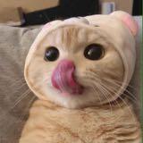 (Category: ) located in . Submitted by hohohojicha (Listing ID 1364005553, Image 1). Description: .