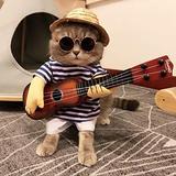(Category: ) located in . Submitted by rabbit.guitar (Listing ID 1210112025, Image 1). Description: .
