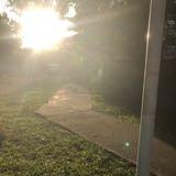 (Category: ) located in . Submitted by zmk304 (Listing ID 1378952566, Image 1). Description: .
