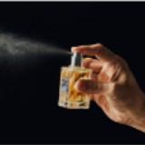 (Category: ) located in . Submitted by perfumeshop101 (Listing ID 1433889521, Image 1). Description: .