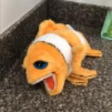 (Category: ) located in . Submitted by harekal (Listing ID 1381344024, Image 1). Description: .