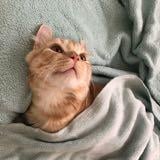 (Category: ) located in . Submitted by lenerscloset (Listing ID 1087658142, Image 1). Description: .