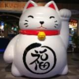 （分類：）位於 。 由 tory8882004 提交（商品編號 1040626209，圖片 1）。簡介： 。