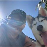 (Category: ) located in . Submitted by jenkssjc (Listing ID 1380131000, Image 1). Description: .