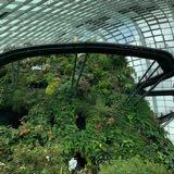 (Category: ) located in . Submitted by efaith (Listing ID 1374861932, Image 1). Description: .