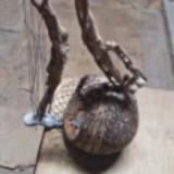 (Category: ) located in . Submitted by wakerfan (Listing ID 1374890469, Image 1). Description: .