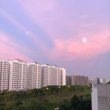 (Category: ) located in . Submitted by starmacarons (Listing ID 1376733022, Image 1). Description: .