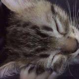 (Category: ) located in . Submitted by d.louise (Listing ID 1359133111, Image 1). Description: .