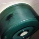 (Category: ) located in . Submitted by bargainlover (Listing ID 1376976168, Image 1). Description: .
