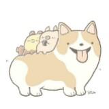 （分類：）位於 。 由 normi00 提交（商品編號 1380580630，圖片 1）。簡介： 。