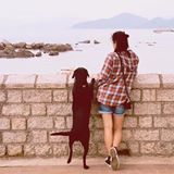 （分類：）位於 。 由 dee88800000888888 提交（商品編號 1371146755，圖片 1）。簡介： 。