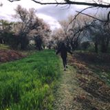 (分類:)位於 。 由 janechan999 提交(商品編號 1461226577,圖片 1)。簡介: 。