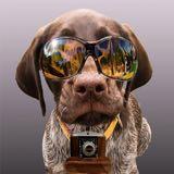 （分類：）位於 。 由 kittyk1 提交（商品編號 1286760152，圖片 1）。簡介： 。