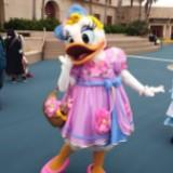 (Category: ) located in . Submitted by daisyduck09 (Listing ID 1464458865, Image 1). Description: .