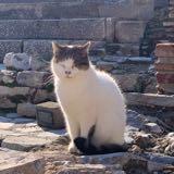 (Kategori: ) berada di . Dikirim oleh martabucks (ID iklan 1328120992, Gambar 1). Deskripsi: .